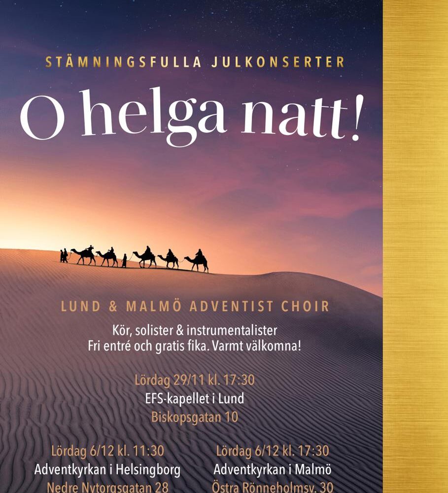 O Helga Natt, julkonsert Malmö Lund